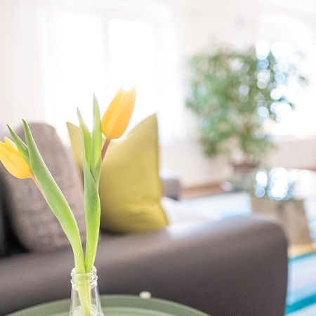 Helle Ferienwohnung Im Hinterhof Δρέσδη Εξωτερικό φωτογραφία